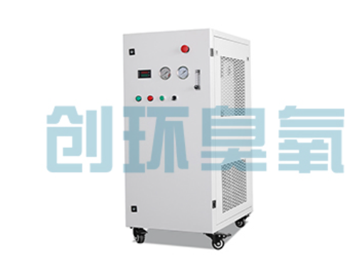 中山石斑鱼养殖水质调控完整指南:臭氧发生器配置与操作步骤