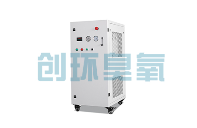 中山比传统换水更高效?臭氧发生器在石斑鱼养殖中的水质净化原理解析